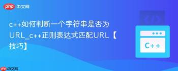 c++如何判断一个字符串是否为URL_c++正则表达式匹配URL【技巧】