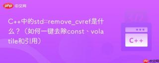 c++中的std::remove_cvref是什么？（如何一键去除const、volatile和引用）