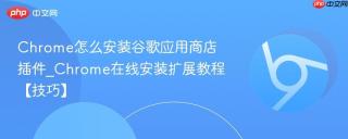 Chrome怎么安装谷歌应用商店插件_Chrome在线安装扩展教程【技巧】