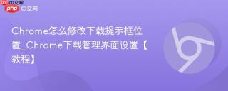 Chrome怎么修改下载提示框位置_Chrome下载管理界面设置【教程】