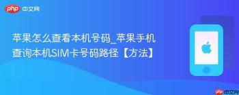 苹果怎么查看本机号码_苹果手机查询本机SIM卡号码路径【方法】
