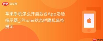 苹果手机怎么开启后台App活动指示器_iPhone状态栏隐私监控提示
