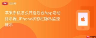苹果手机怎么开启后台App活动指示器_iPhone状态栏隐私监控提示