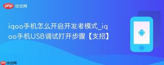 iqoo手机怎么开启开发者模式_iqoo手机USB调试打开步骤【支招】