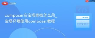 composer在宝塔面板怎么用_宝塔环境使用composer教程