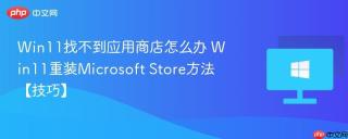 Win11找不到应用商店怎么办 Win11重装Microsoft Store方法【技巧】