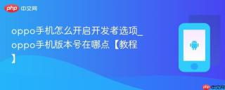 oppo手机怎么开启开发者选项_oppo手机版本号在哪点【教程】