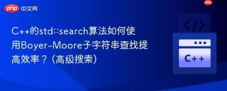 c++的std::search算法如何使用boyer-moore子字符串查找提高效率？ (高级搜索)