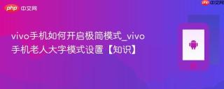 vivo手机如何开启极简模式_vivo手机老人大字模式设置【知识】