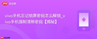 vivo手机忘记锁屏密码怎么解锁_vivo手机强制清除密码【揭秘】
