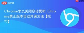 chrome怎么关闭自动更新_chrome禁止版本自动升级方法【技巧】