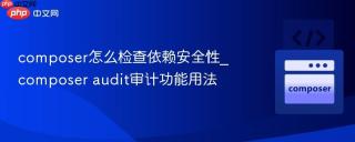 composer怎么检查依赖安全性_composer audit审计功能用法