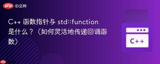 C++ 函数指针与 std::function 是什么？（如何灵活地传递回调函数）