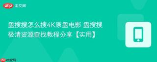 盘搜搜怎么搜4K原盘电影 盘搜搜极清资源查找教程分享【实用】