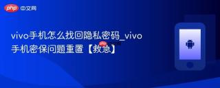 vivo手机怎么找回隐私密码_vivo手机密保问题重置【救急】