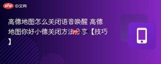 高德地图怎么关闭语音唤醒 高德地图你好小德关闭方法分享【技巧】