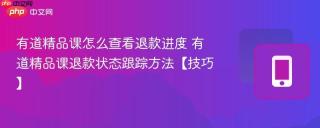 有道精品课怎么查看退款进度 有道精品课退款状态跟踪方法【技巧】