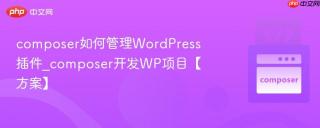 composer如何管理WordPress插件_composer开发WP项目【方案】