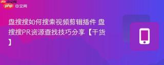盘搜搜如何搜索视频剪辑插件 盘搜搜PR资源查找技巧分享【干货】