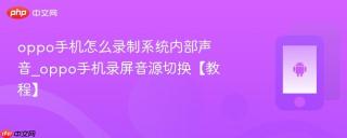 oppo手机怎么录制系统内部声音_oppo手机录屏音源切换【教程】