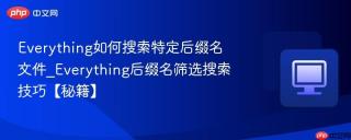 everything如何搜索特定后缀名文件_everything后缀名筛选搜索技巧【秘籍】