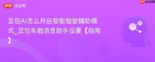 豆包AI怎么开启智能驾驶辅助模式_豆包车载语音助手设置【指南】