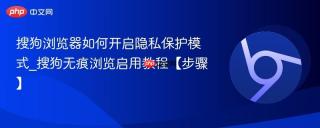搜狗浏览器如何开启隐私保护模式_搜狗无痕浏览启用教程【步骤】