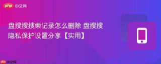 盘搜搜搜索记录怎么删除 盘搜搜隐私保护设置分享【实用】