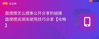 盘搜搜怎么搜索公开分享的链接 盘搜搜资源库使用技巧分享【攻略】