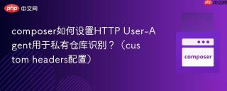 composer如何设置HTTP User-Agent用于私有仓库识别？（custom headers配置）