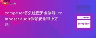 composer怎么检查安全漏洞_composer audit依赖安全审计方法