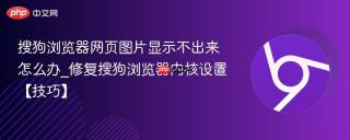 搜狗浏览器网页图片显示不出来怎么办_修复搜狗浏览器内核设置【技巧】