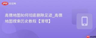 高德地图如何彻底删除足迹_高德地图搜索历史教程【清理】