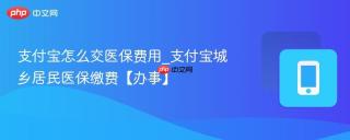 支付宝怎么交医保费用_支付宝城乡居民医保缴费【办事】