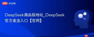 DeepSeek满血版地址_DeepSeek官方直连入口【官网】