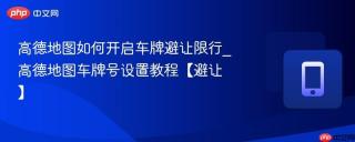 高德地图如何开启车牌避让限行_高德地图车牌号设置教程【避让】