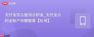支付宝怎么查询公积金_支付宝公积金账户余额查看【社保】