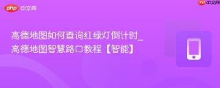 高德地图如何查询红绿灯倒计时_高德地图智慧路口教程【智能】