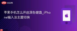苹果手机怎么开启深色键盘_iPhone输入法主题切换