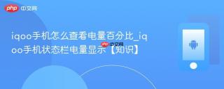iqoo手机怎么查看电量百分比_iqoo手机状态栏电量显示【知识】