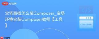 宝塔面板怎么装Composer_宝塔环境安装Composer教程【工具】