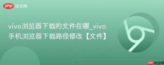 vivo浏览器下载的文件在哪_vivo手机浏览器下载路径修改【文件】