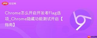 chrome怎么开启开发者flag选项_chrome隐藏功能测试开启【指南】