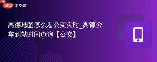 高德地图怎么看公交实时_高德公车到站时间查询【公交】