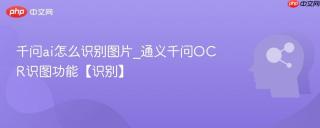 千问ai怎么识别图片_通义千问OCR识图功能【识别】