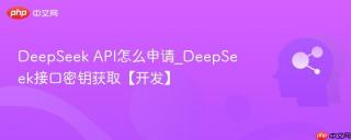 deepseek api怎么申请_deepseek接口密钥获取【开发】