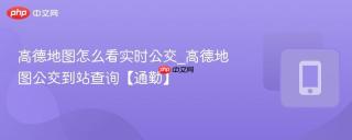 高德地图怎么看实时公交_高德地图公交到站查询【通勤】