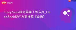 DeepSeek服务器崩了怎么办_DeepSeek替代方案推荐【备选】