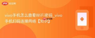 vivo手机怎么查看WiFi密码_vivo手机扫码连接网络【知识】