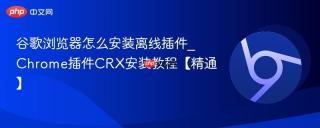 谷歌浏览器怎么安装离线插件_Chrome插件CRX安装教程【精通】
